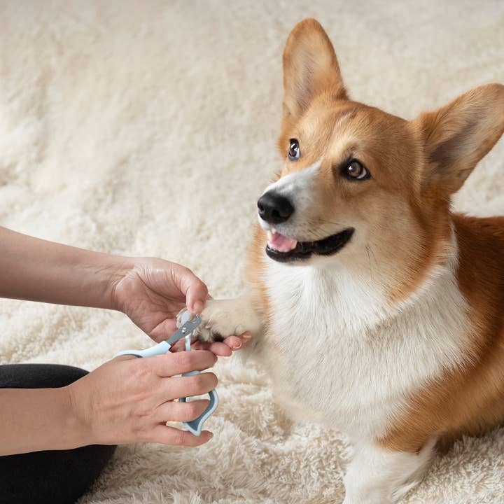 Precious Tails - Wholesale Pet grooming tool – Dog - Ocean Plastic by PT Pet Nail Clipper Grooming Tool18