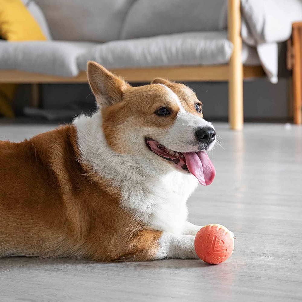 Supreme Housewares - Wholesale Pet Fetch Ball - Dog - Pawjectile Dog Ball Toys Bi-Color Yellow/Pink7