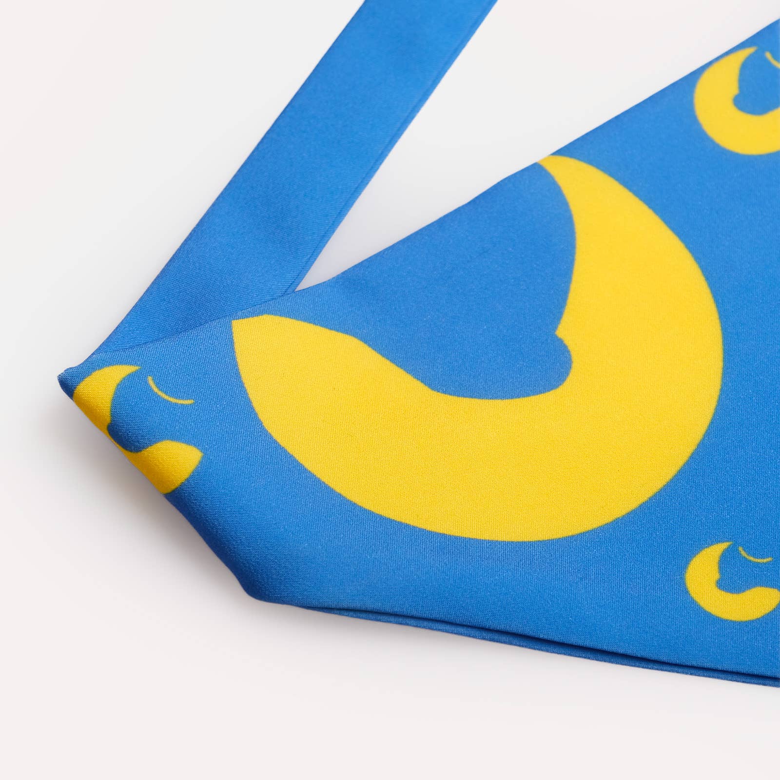 Chewise Official - Wholesale Pet Bowl - Dog - Chewise Dog Bandana3