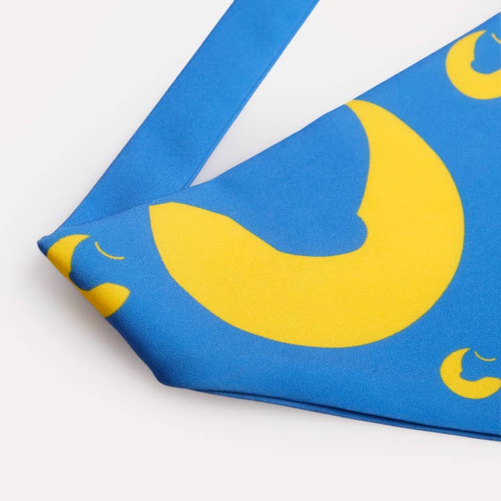 Chewise Official - Wholesale Pet Bowl - Dog - Chewise Dog Bandana3