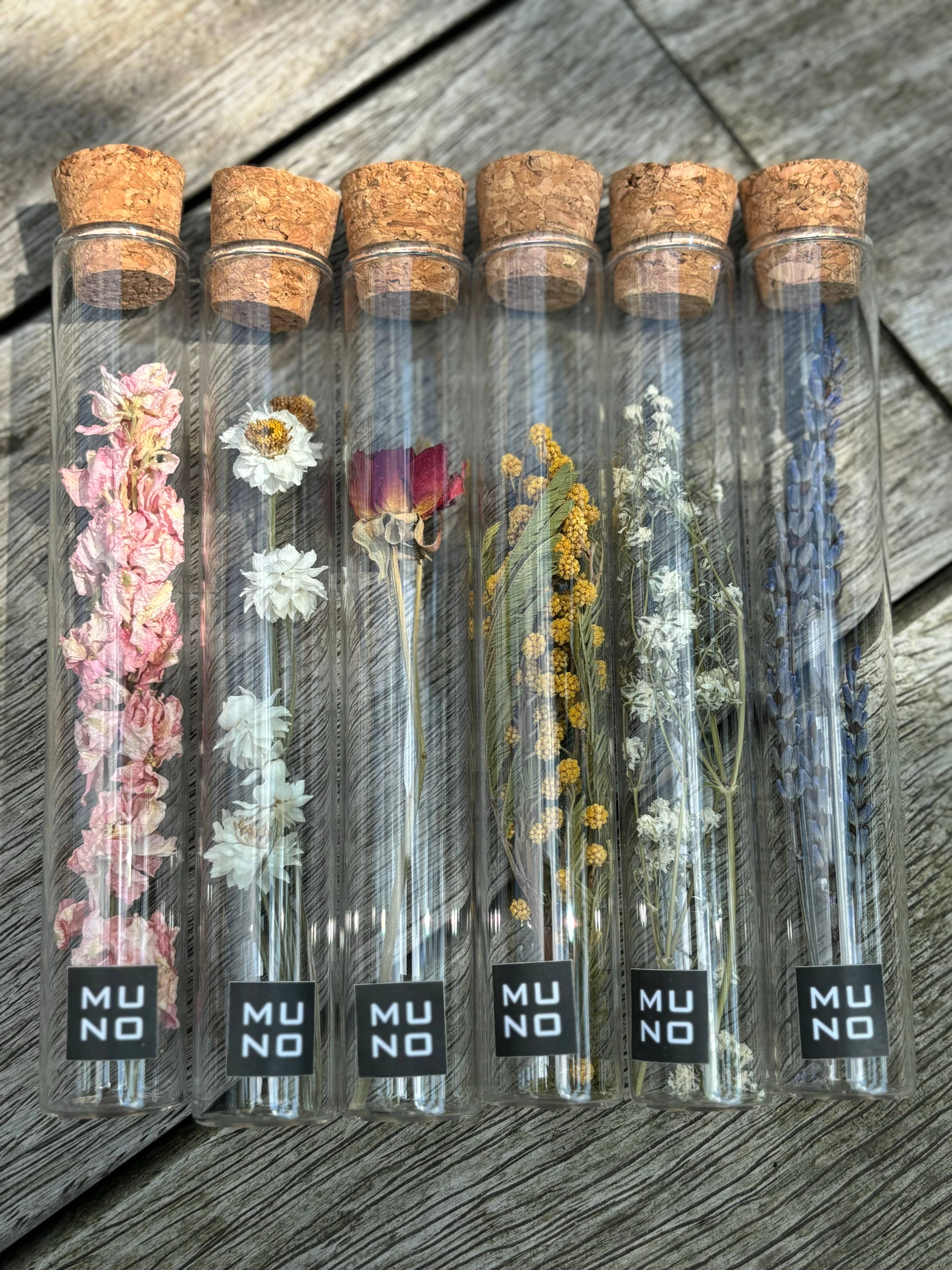 Muno – Flores secas/prensadas por atacado – Tubos de vidro de 15 cm com flores secas - Presente3
