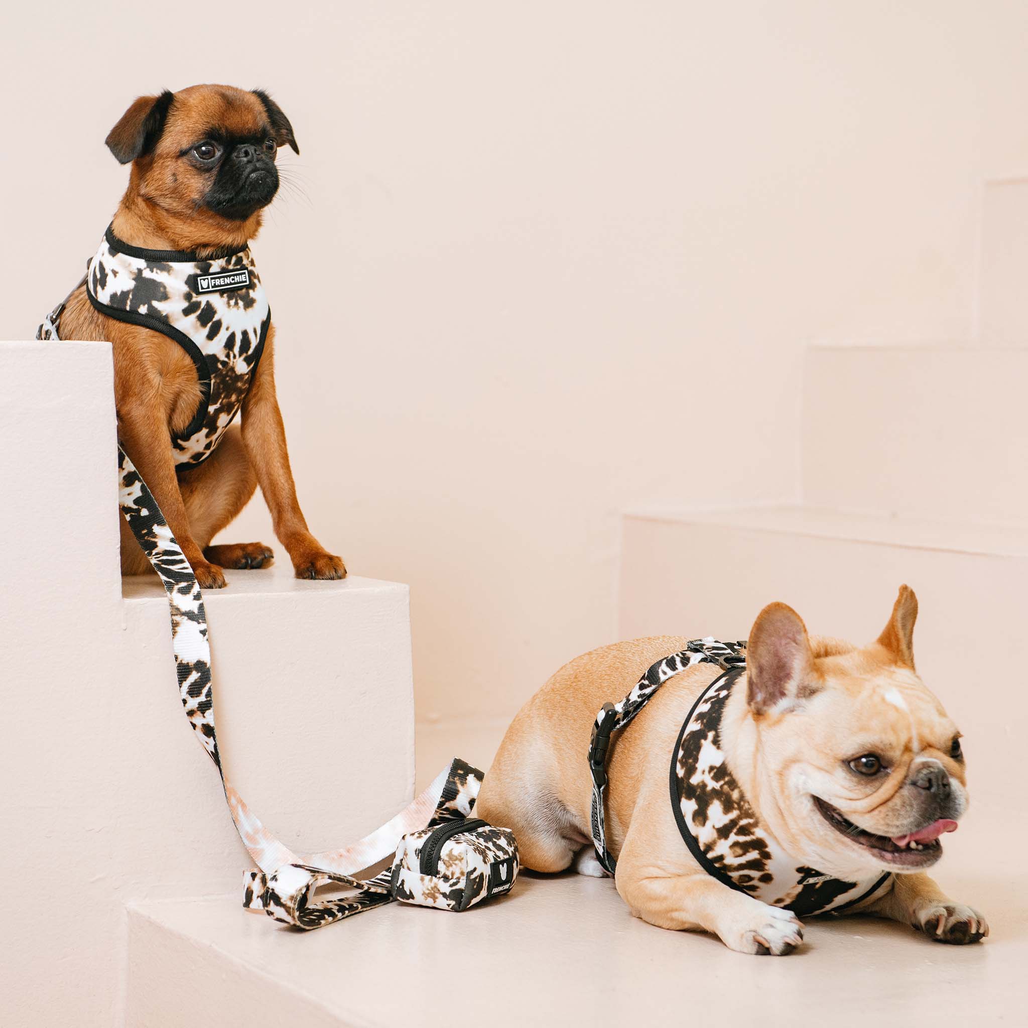 Frenchie – wholesale Pet harness – Dog – Frenchie Duo Reversible Harness - Earthy Tie Dye7