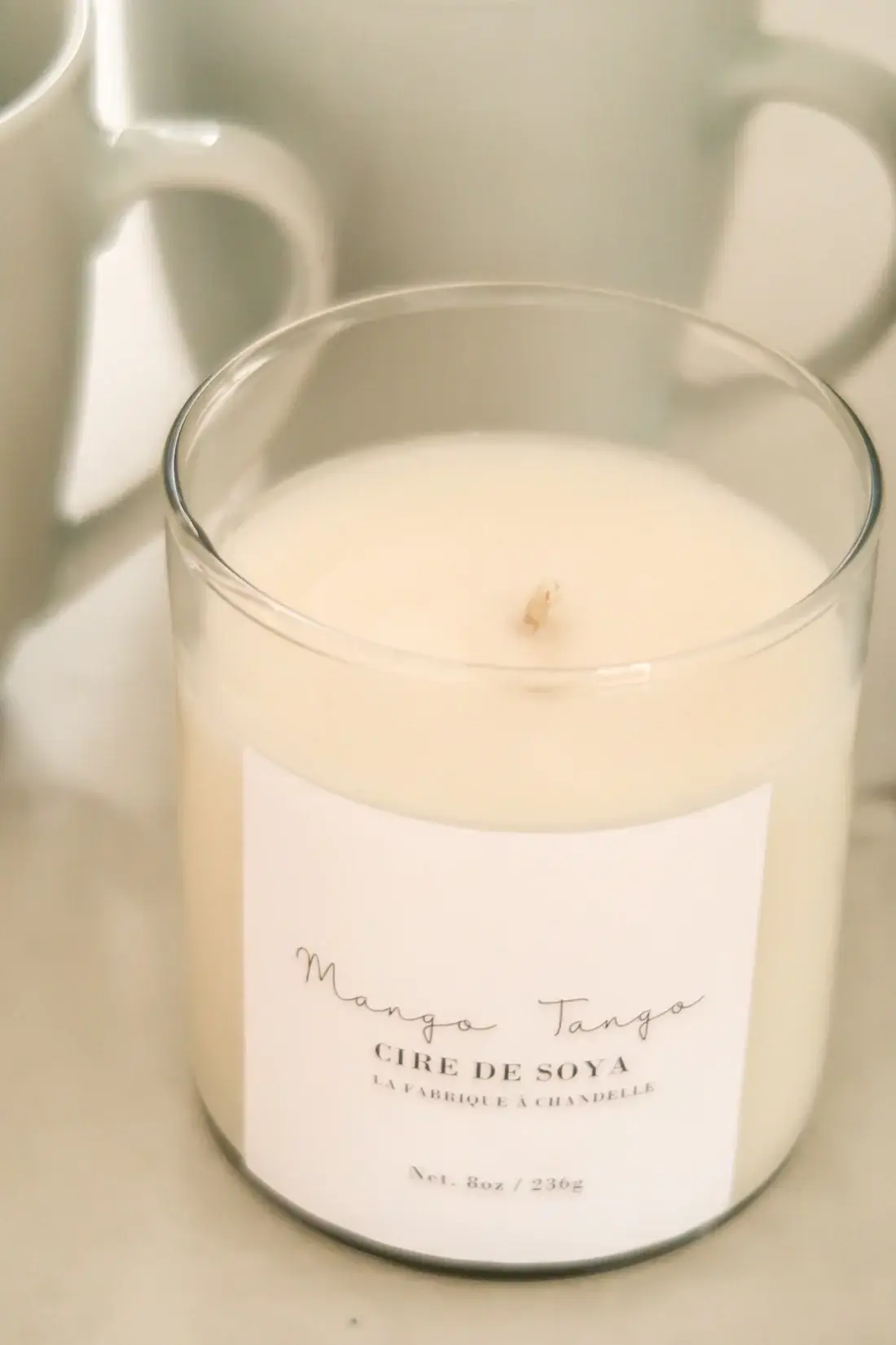 La fabrique à chandelle - Wholesale Jar/Filled Candle - Mango-Tango1