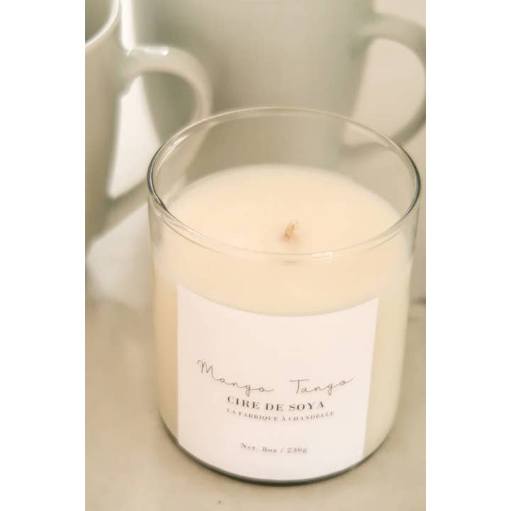 La fabrique à chandelle - Wholesale Jar/Filled Candle - Mango-Tango1