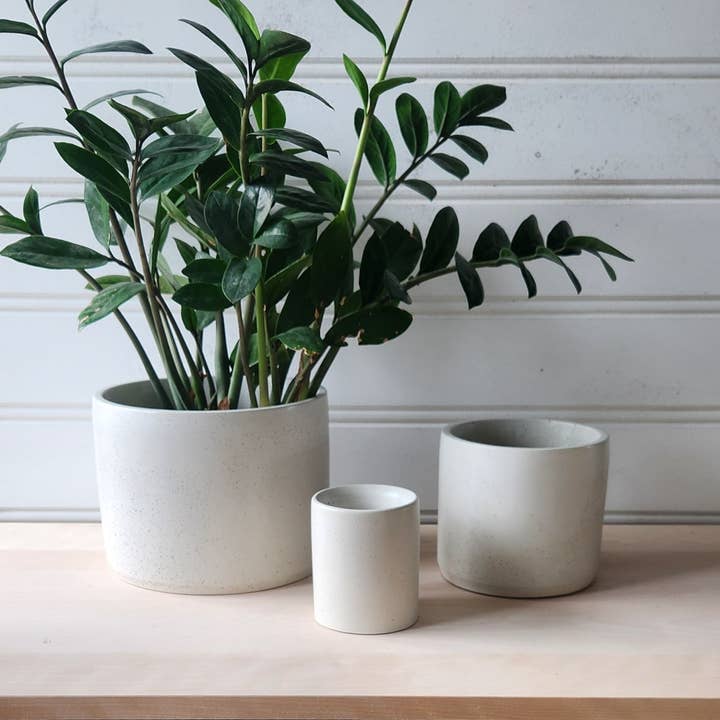 Cylinder Planter- 3" 5" 7" Blush & Olive for wholesale by Plant 'er Here
