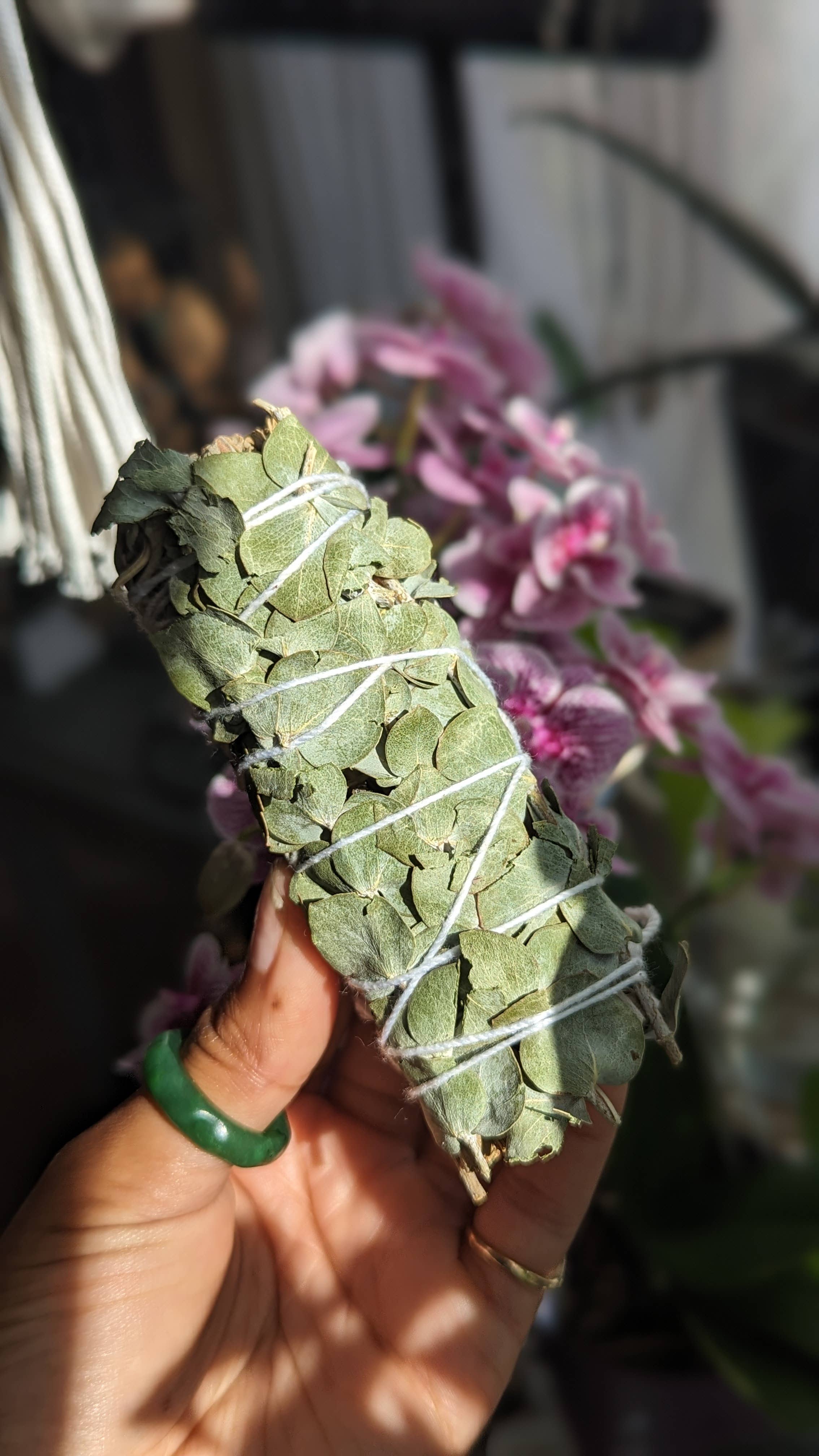 808 Company – wholesale Sage bundle – White Sage & Eucalyptus1