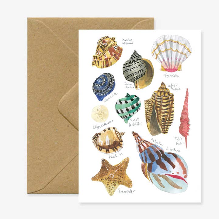 A6 double card "Shells" for wholesale by Marina Vandel