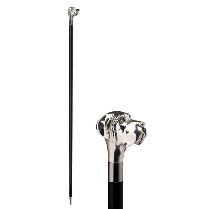 Walking Sticks/Utile4 - Venta al por mayor Accesorios de deporte - Palo de plata Labrador