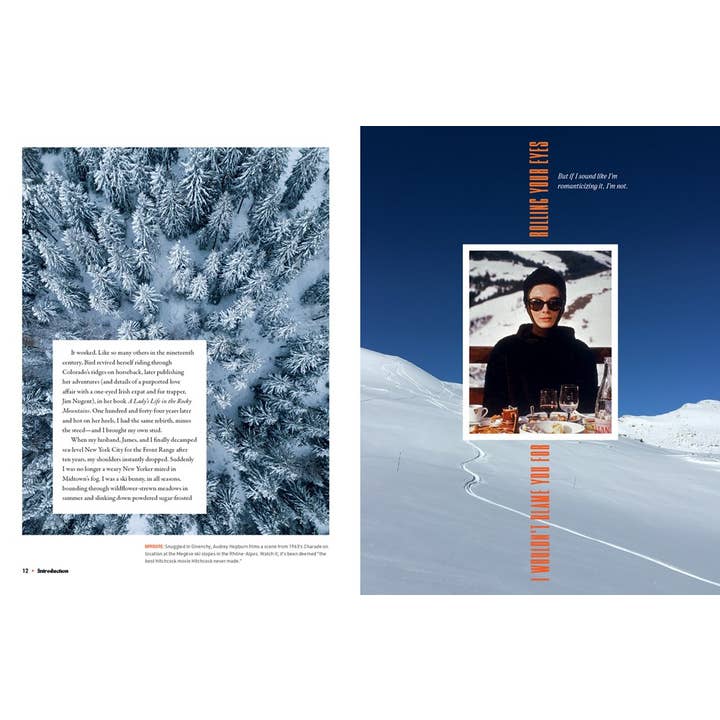 Gibbs Smith - Vente Maison et jardin - Style Alpin1