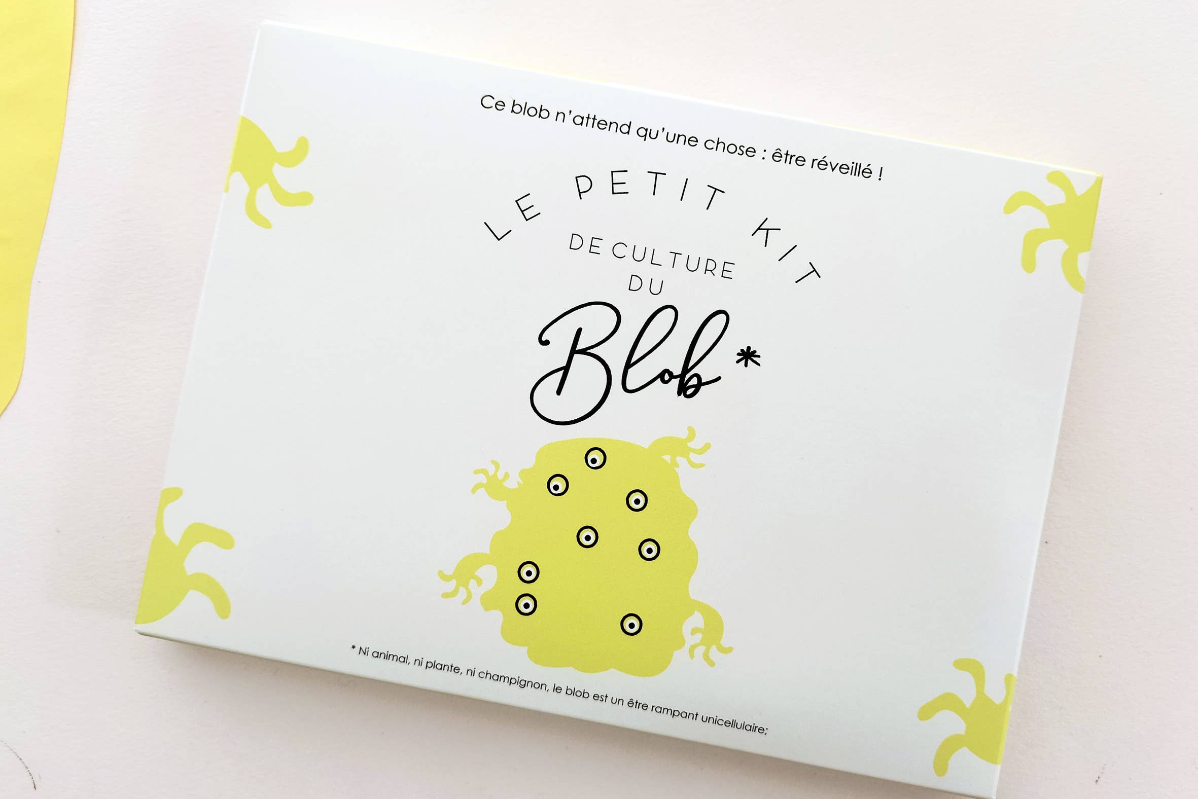 Pamela Loops - Wholesale DIY Craft Kit - Kids - Kit de culture de Blob1