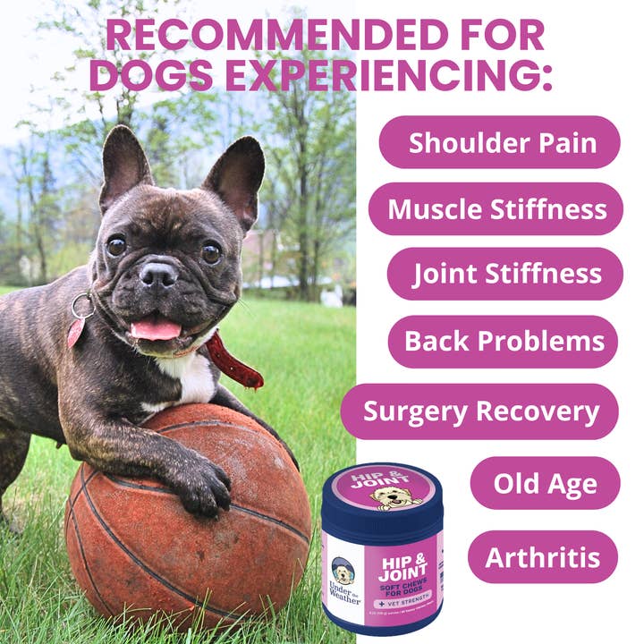 Under the Weather Pet - Wholesale Pet Supplement - Dog - Hip & Joint Mobility Soft Chews for Dogs 2