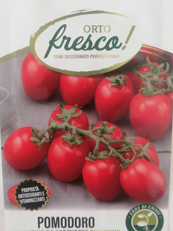 Winter Hanging Galatino Tomato for wholesale by Sementi & Barbatelle