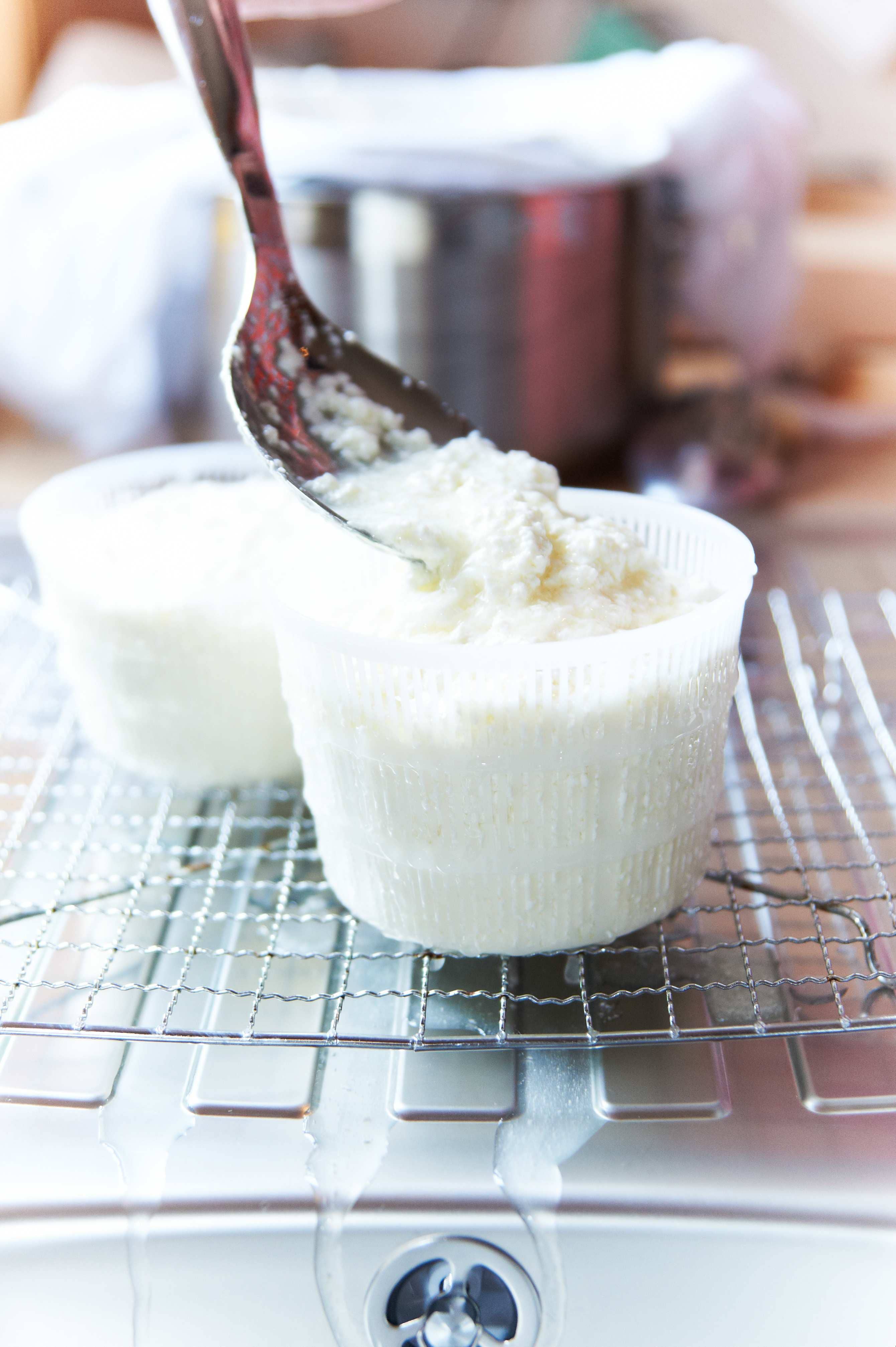 The Big Cheese Making Kit – wholesale DIY food kit – Wallace & Gromit Mozzarella & Ricotta Cheese Making Kit3