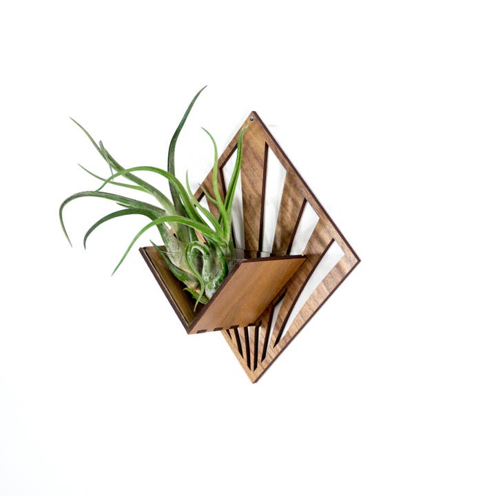 LIGHT RAZOR DESIGN STUDIO - Wholesale Wall planter - Air Plant Holder / Quadrate Wall Hanging Planter 21