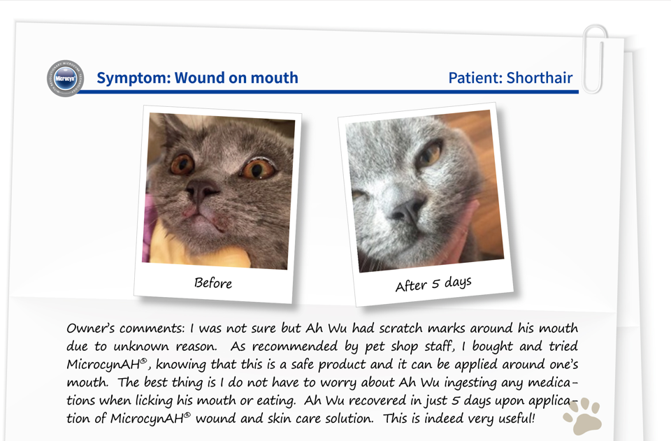 BC Animal Solutions Inc – Spray – Excluindo cães/gatos por atacado – Solução para Cuidado de Pele e Feridas Microcyn® Farm e Ranch, 473ml7