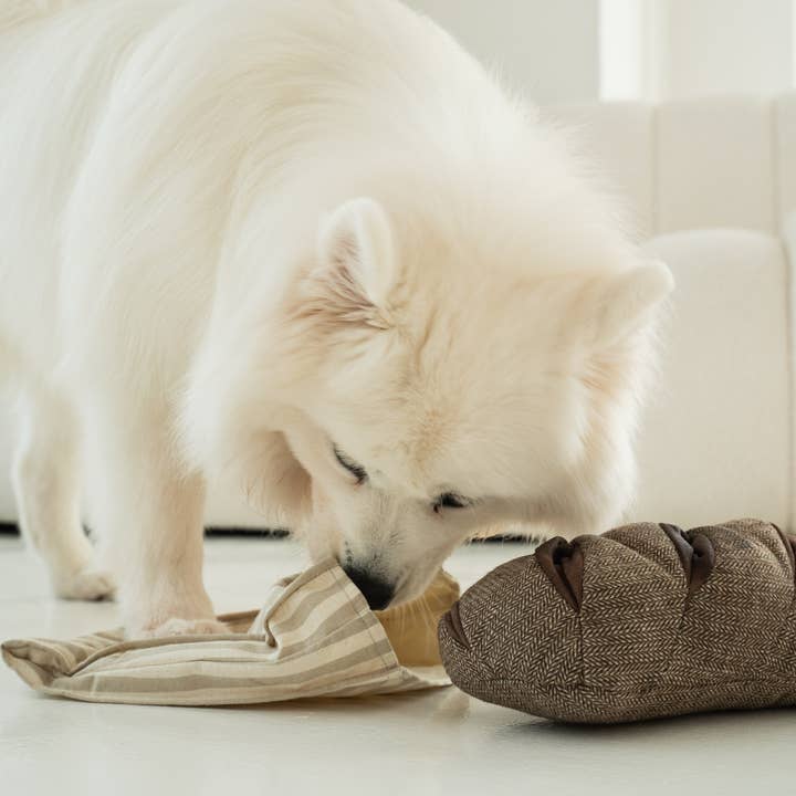 Lambwolf Collective - Wholesale Pet Toy - Dog - RYE //ENRICHMENT DOG TOY