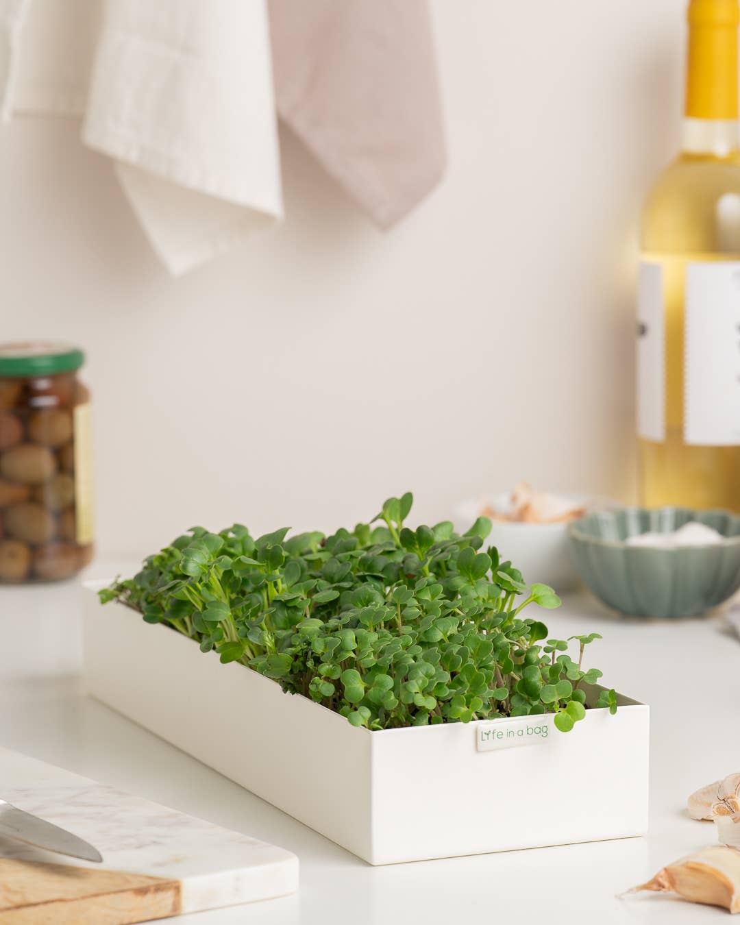 Life in a bag - Wholesale Plant Seeds - Microgreens Trio Radish, Watercress, Arugula1