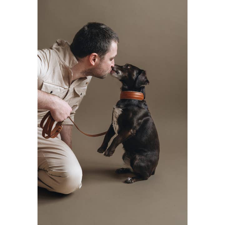 BAND&ROLL – trela - Cão por atacado – Guia de couro para cachorro para usar transpassado no corpo6