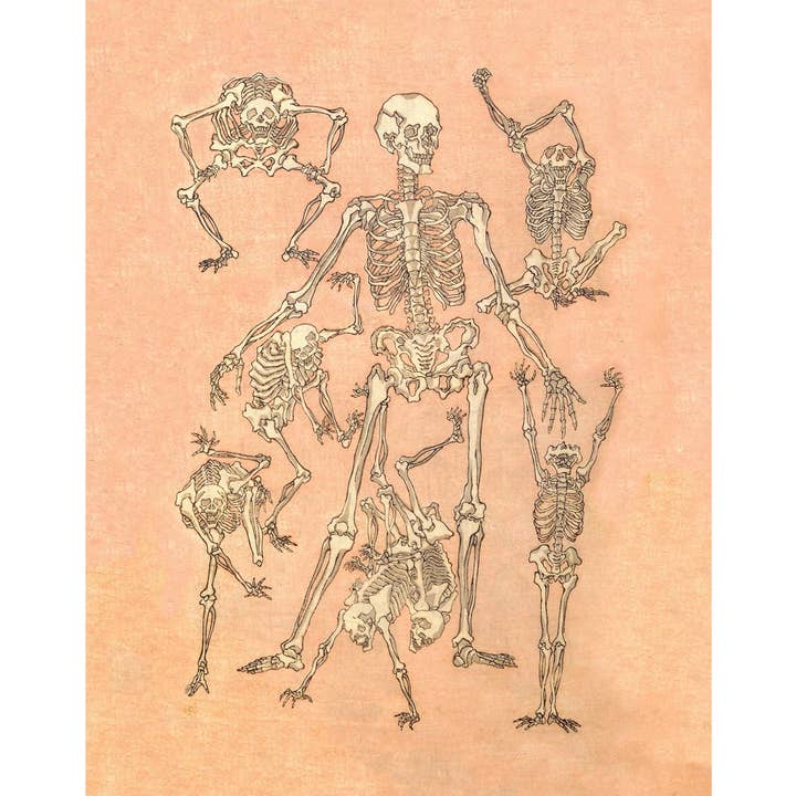 Art squelette vintage | Croquis Kawanabe Kyosai | Asiatique du XIXe siècle | Impression d'anatomie humaine | Décor vintage moderne | Cadeau écologique pour la vente par Rock Paper Scissors Wall Art