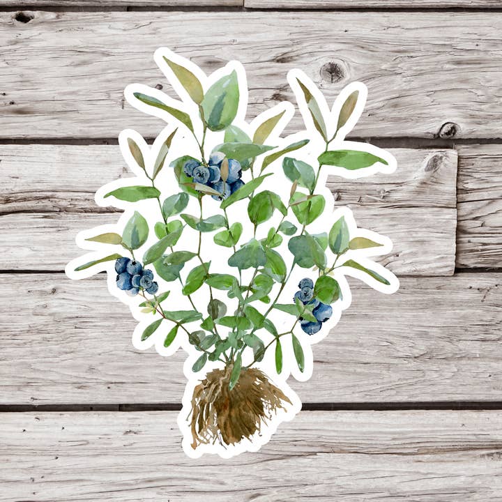 Blueberry Plant Sticker, Berry Sticker, Fruit Sticker for wholesale by NatureCuts