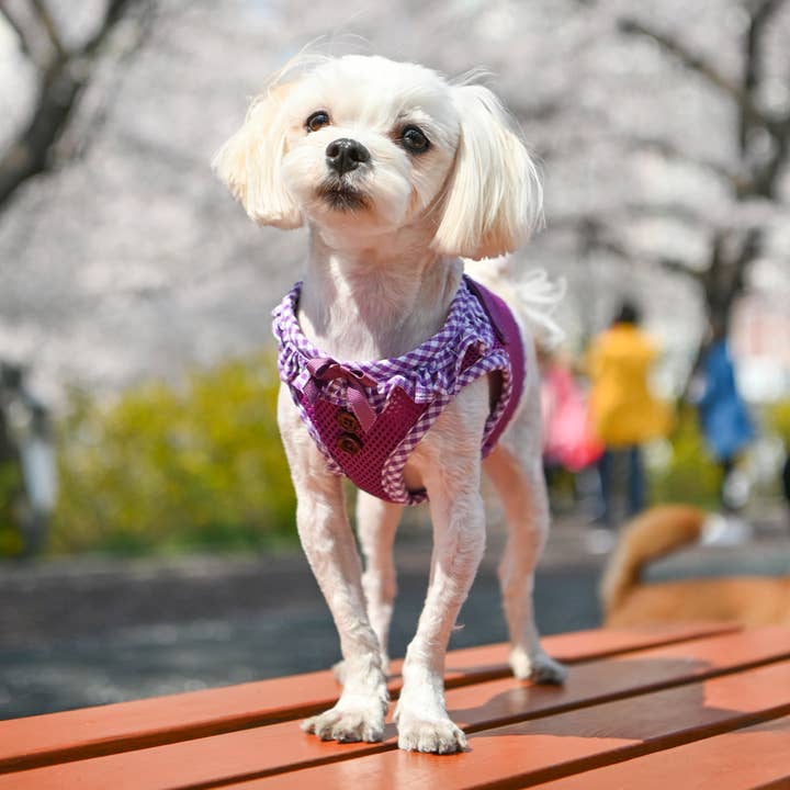 Puppia International Inc. - Vente Harnais – chien - Harnais pour chien Vivien Vest à carreaux8