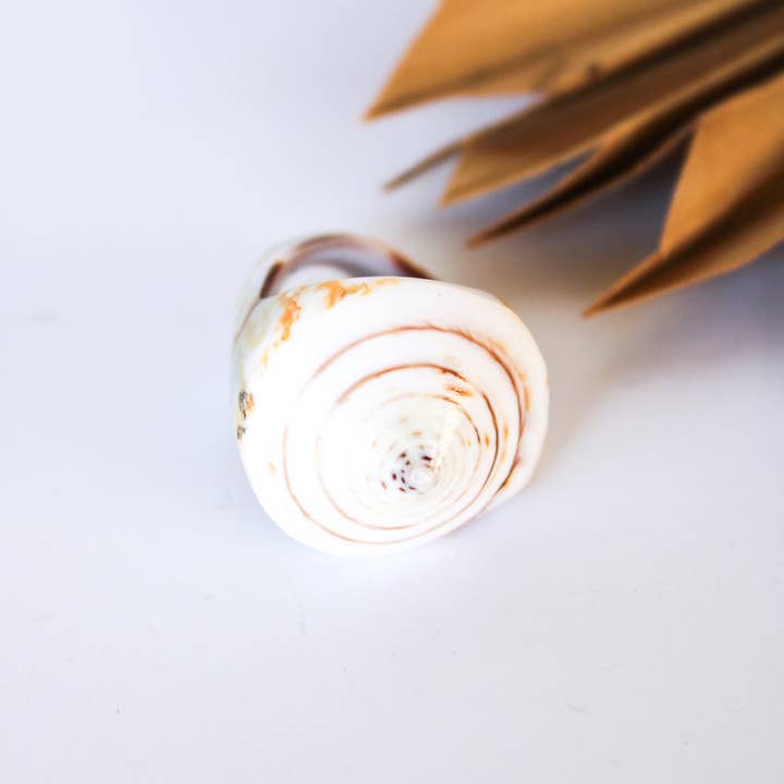 Bali Queen - Wholesale Cocktail/Statement Ring - Bali Shell Rings29