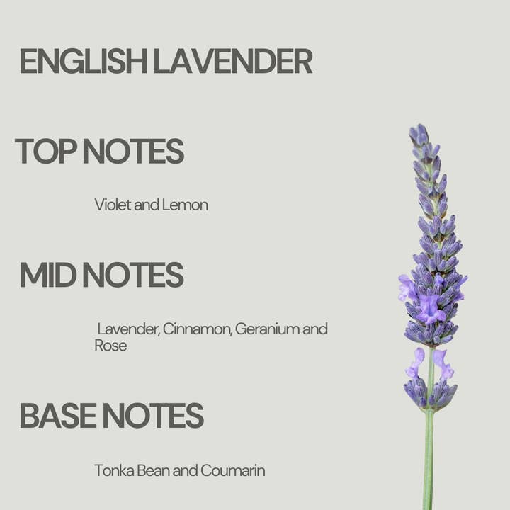 Moon Works - Vendita all'ingrosso Fragranza roll-on - Lavanda Inglese | Dupe Lavanda Estrema | Profumo Roll On