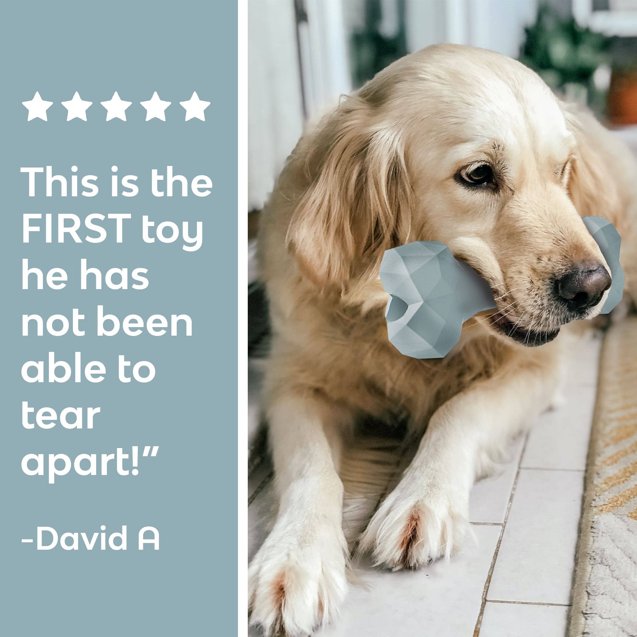 Mount Ara - Vente Friandises – chien - Mont Ara Superbite (Bleu)2