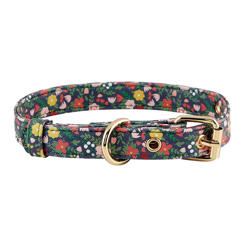 bulk buy dog collars