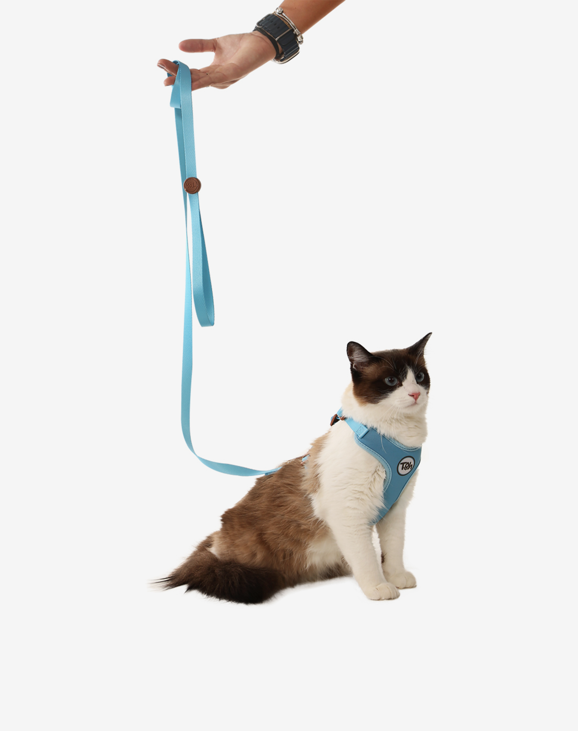 Toh - Wholesale Pet Harness - Cat - Conjunto de Arnês em H Confortável para Gato + Trela Azul1