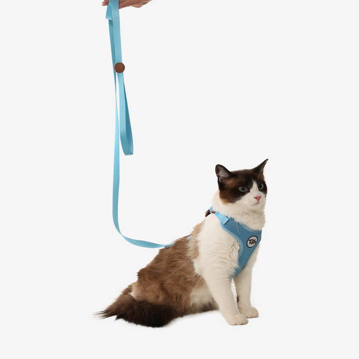 Toh - Wholesale Pet Harness - Cat - Conjunto de Arnês em H Confortável para Gato + Trela Azul1