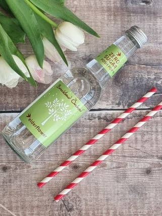 ZERO Sugar Elderflower Posh Pop by 12 x 275ml for wholesale by Breckland Orchard