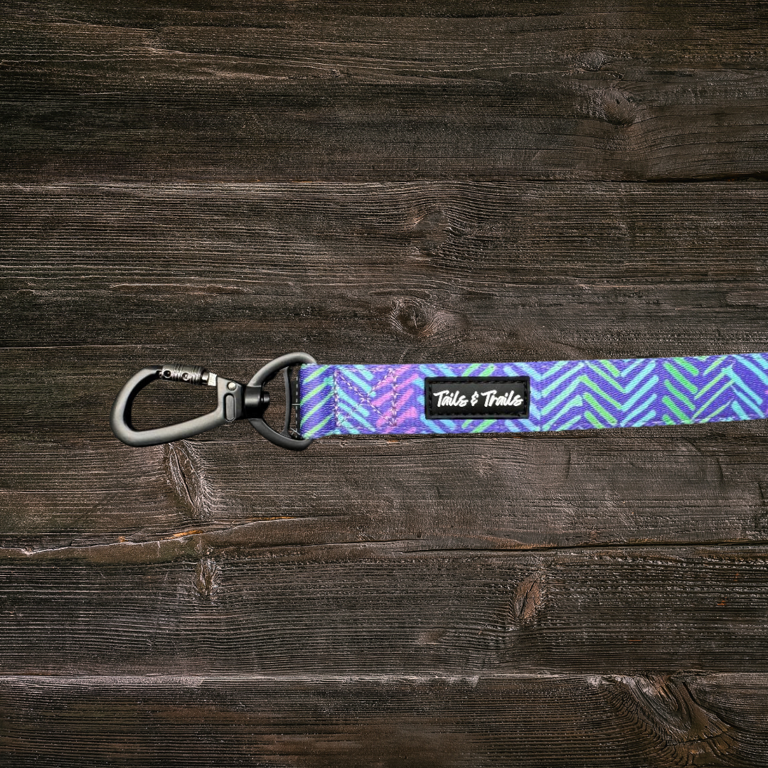 Tails and Trails - Wholesale Pet Leash - Dog - Double Handle New Moon Trail Leash1