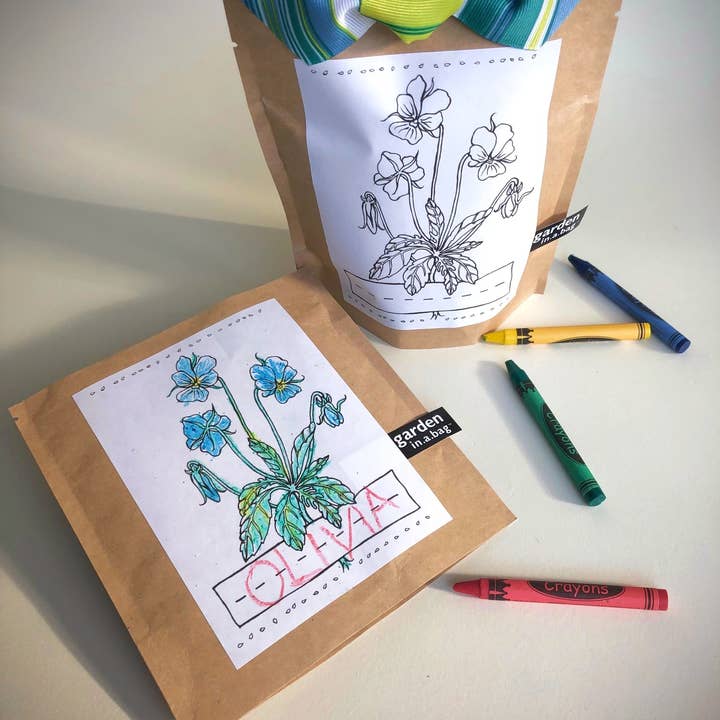 Potting Shed Creations, Ltd. - Wholesale Plant Seeds - Kids Garden in a Bag | Viola | Spring Learning Easter Gift2