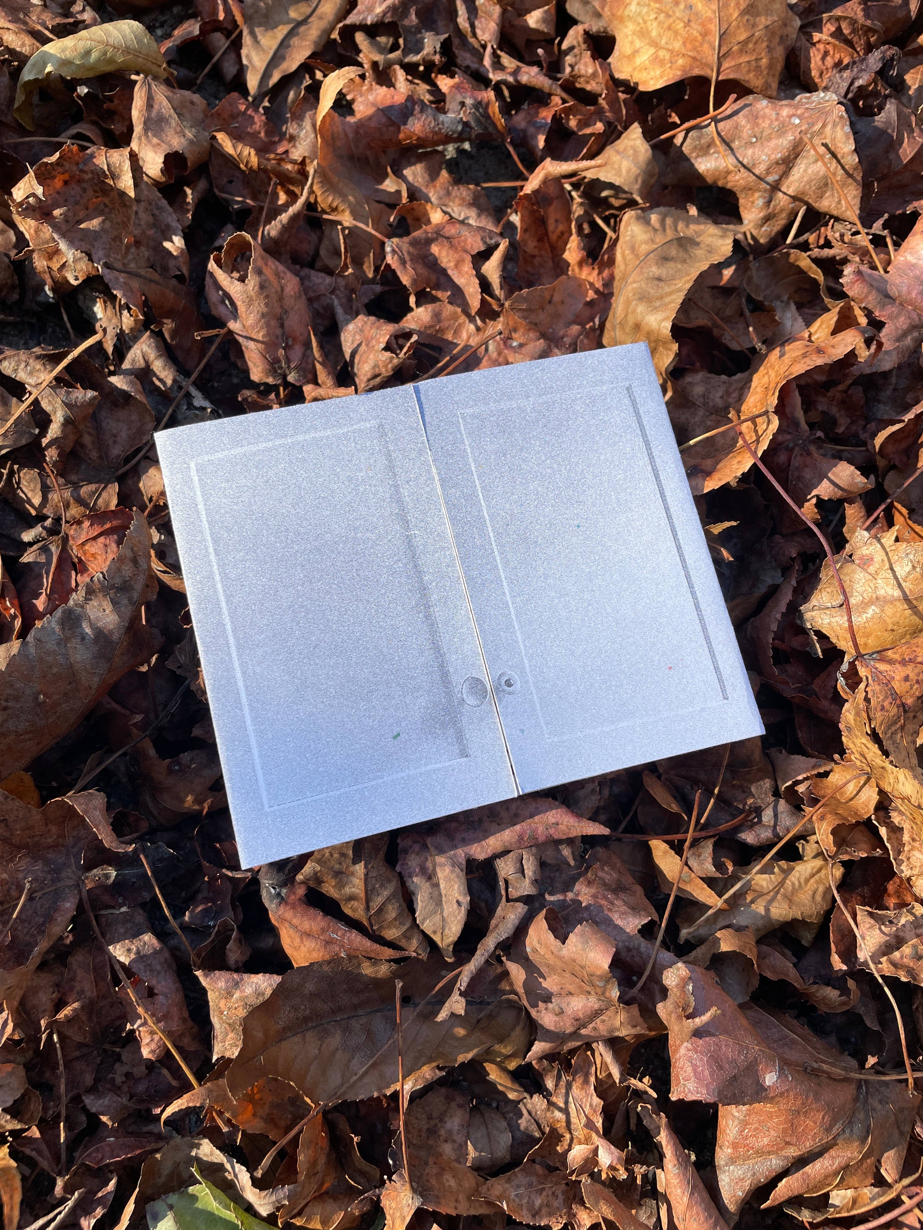 Potato Bread Press - Vendita all'ingrosso Arte e intrattenimento - Dentro i Miei Armadietti Zine, Vol. 21