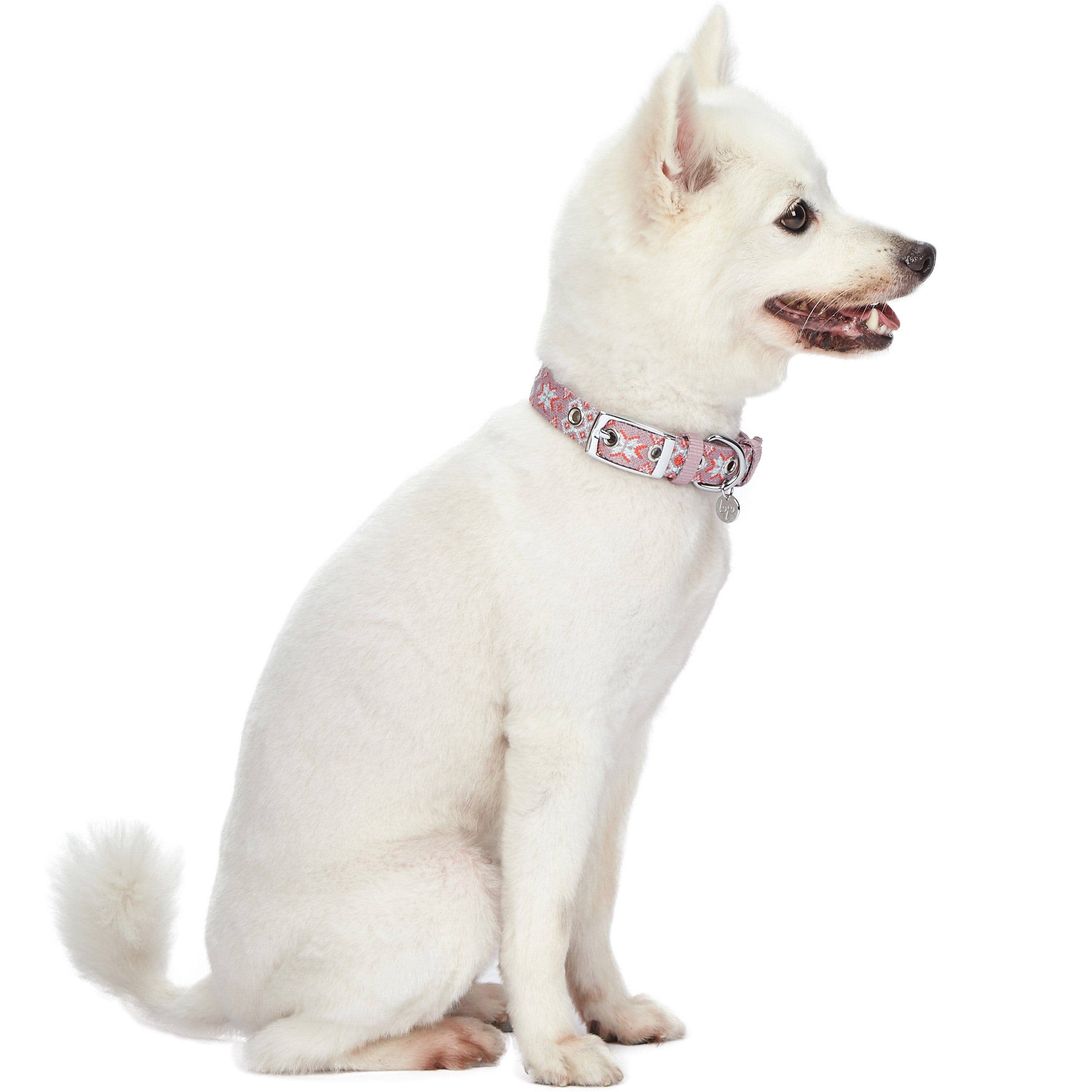 Blueberry Pet - Wholesale Pet Collar - Dog - Southwestern Pattern Polyester Webbing Dog Collar6