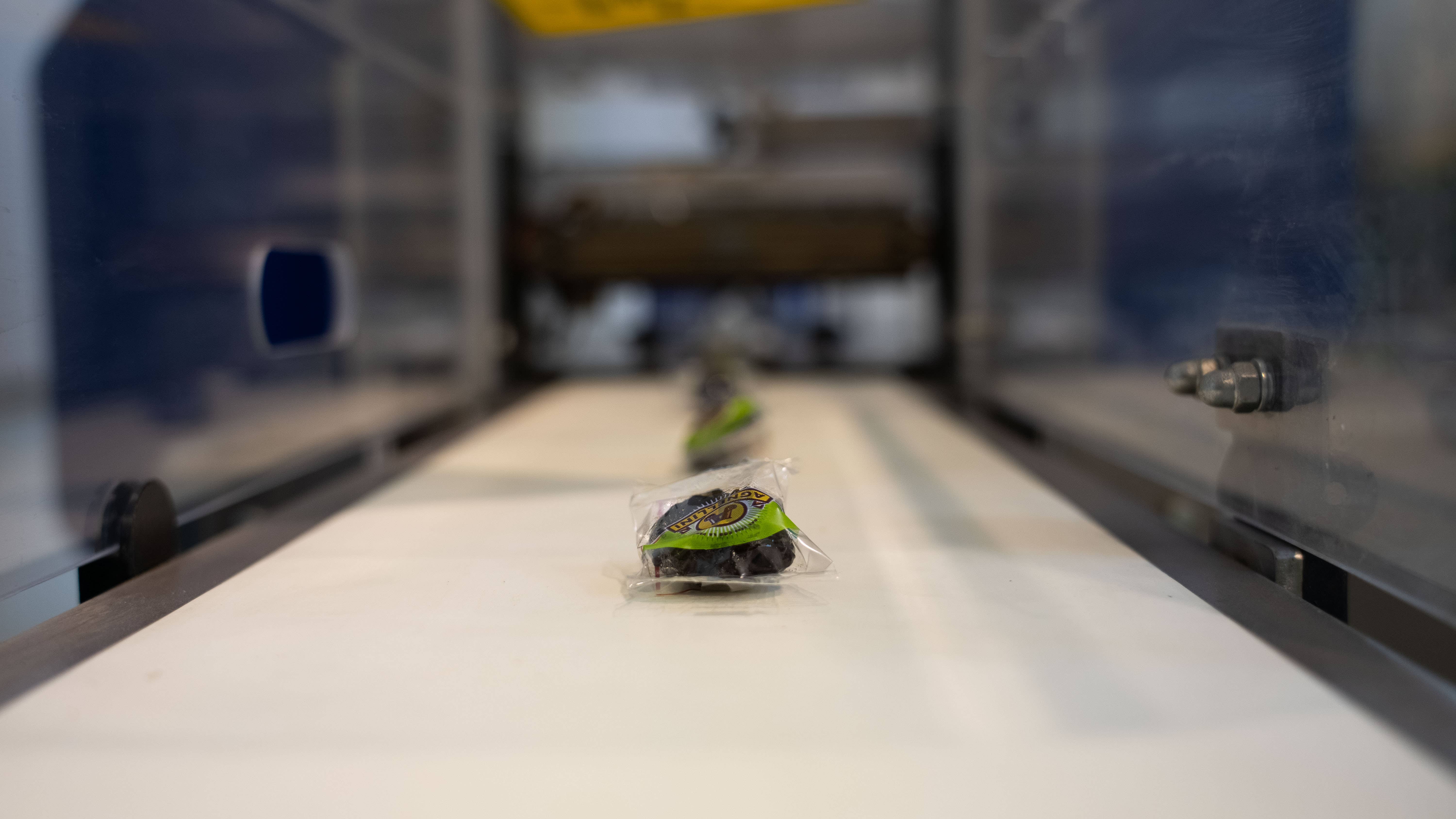 Agnellini Int Srl - Wholesale Dried/Dehydrated Fruit - Soft dried fruit mix 1kg, dehydrated fruit snack5