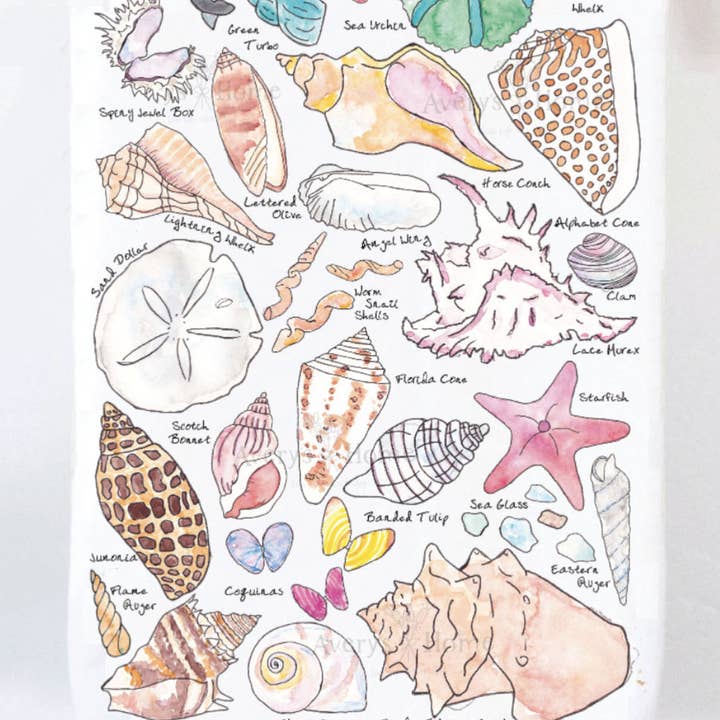 Avery's Home - Wholesale Tea Towel - Sea Shell Collector Ocean Beach Tea Towel1