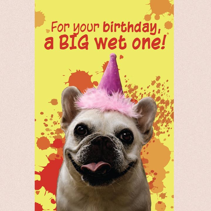 purrPETuallove - Wholesale Birthday Card - Birthday - Wet One - Bull Dog / Pug Mix
