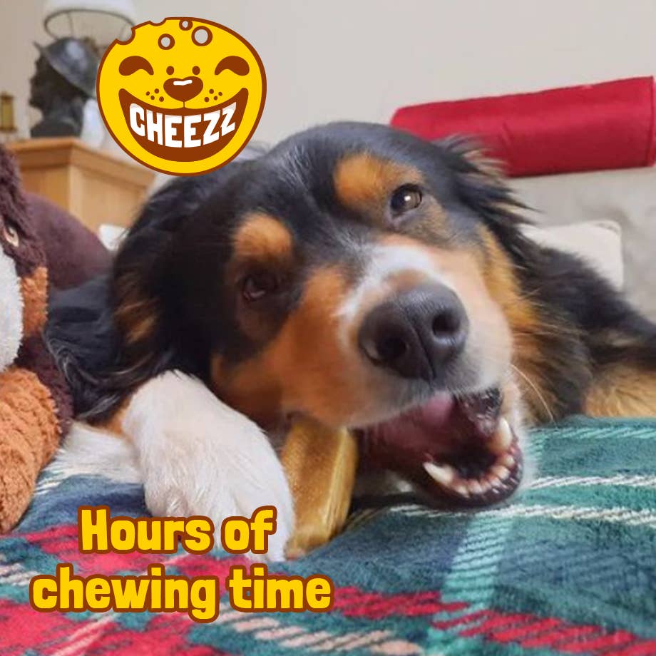 United Pet Brands - Wholesale Pet Treats - Dog - Himalayan Dog Chew Strawberry 3 pcs of 25g9