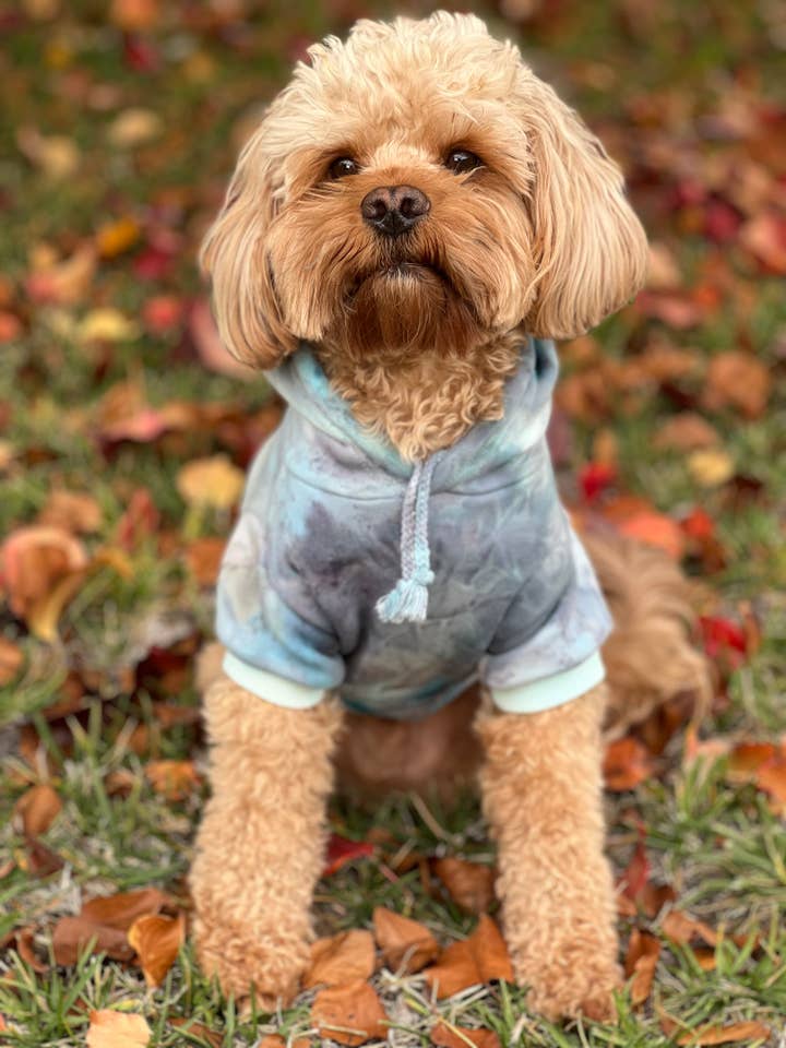 Tie Dye Dog Hoodie In Who's A Good Boy Blue Colorway for wholesale by Shanna's Tie Dye