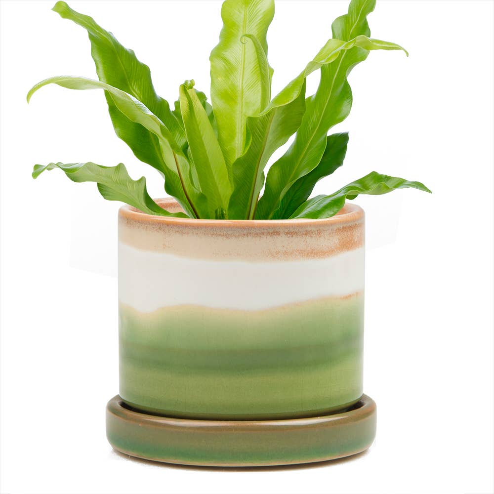 Chive - Wholesale Plant Pot - Minute Handmade Ceramic Planter Indoors Pot With Saucer8