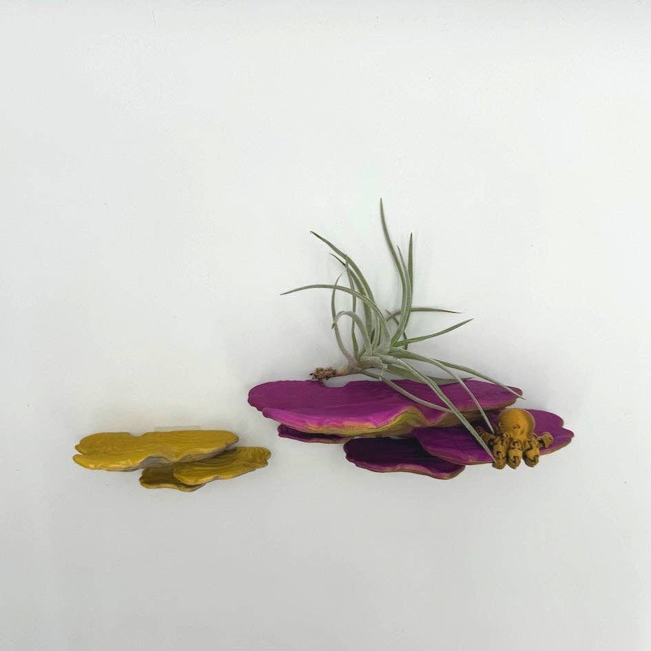 Brehmwood Creative - Wholesale Wall Mounted Shelf - Shimmering Ostrea Floating Shelf - Unique Fungus Design in 6 Colors, Perfect Home Decor3