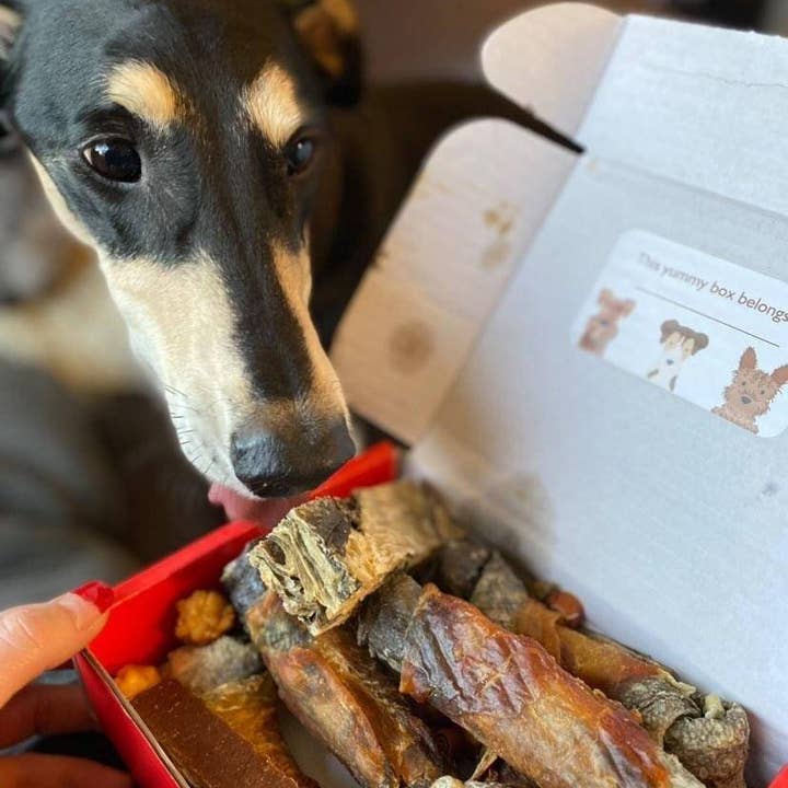DOGraze – Großhandel Leckerlis – Hund – Leckerlibox für Hunde - NATÜRLICH