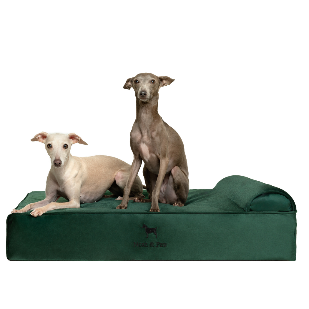 NOAH AND PAW LLC - Wholesale Bed voor huisdieren- Kat/hond - Fluwelen orthopedisch huisdierbed, traagschuim, doordrenkt met verkoelende gel - Klassiek2