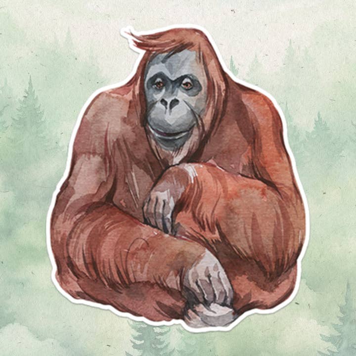 Soul Familiar – Adesivo por atacado – Adesivo orangotango