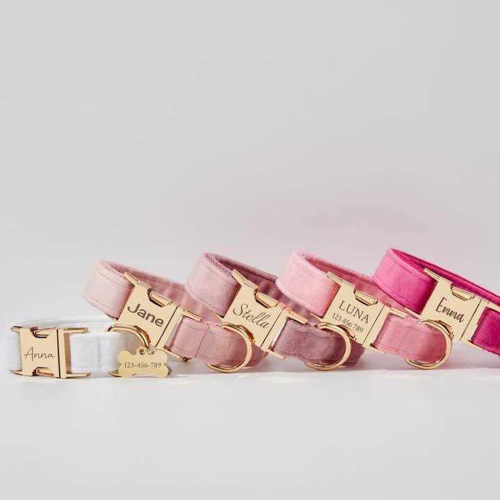 BOBOPUP - Wholesale Pet collar – Dog - Personalized Dog Collar Leash Set with Engraved Name (Copy)