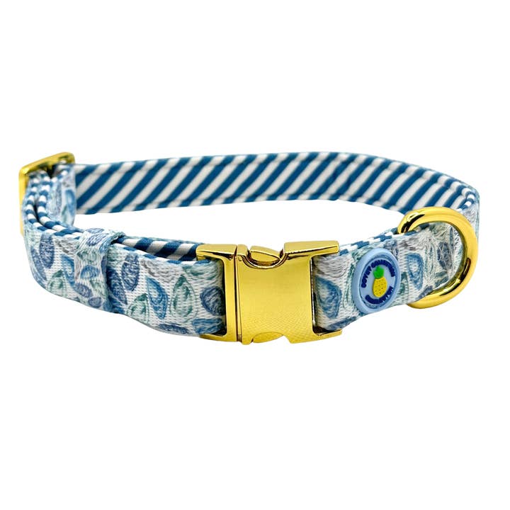 Covey Collection - Wholesale Pet Collar - Dog - Blue Oyster Dog Collar7
