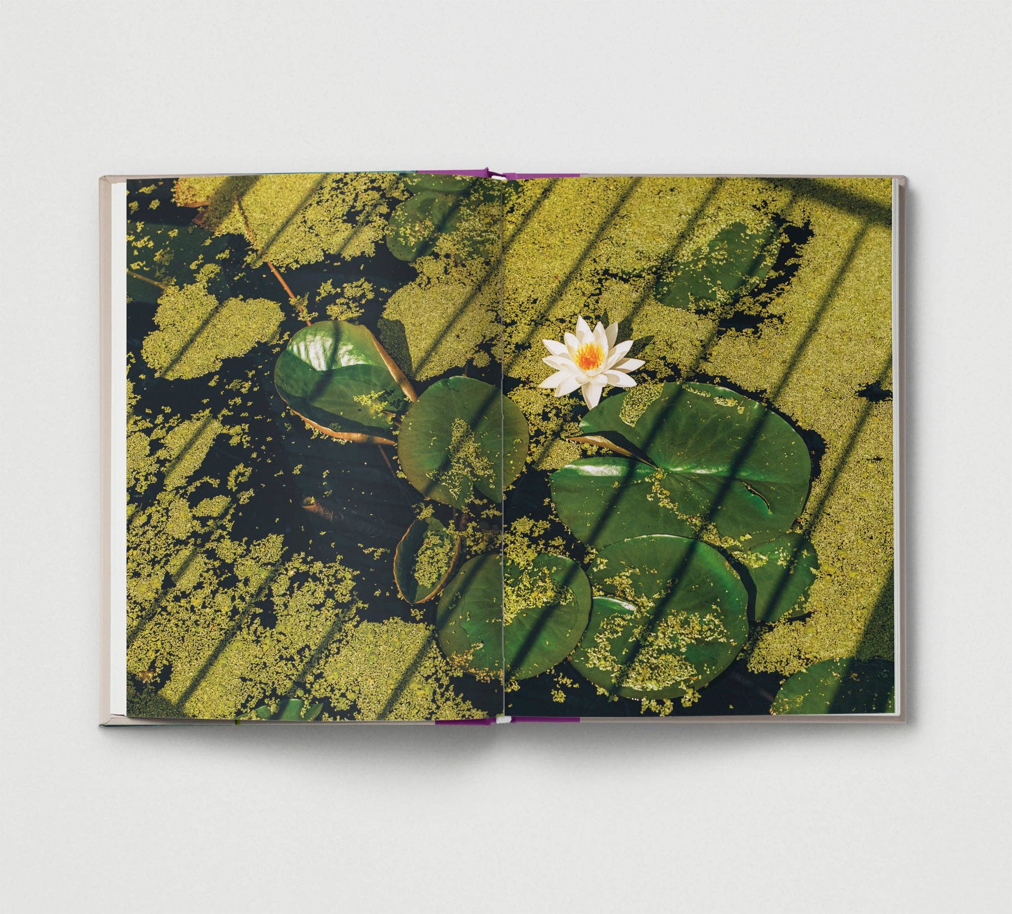 Hoxton Mini Press – wholesale Display book – Flower.3