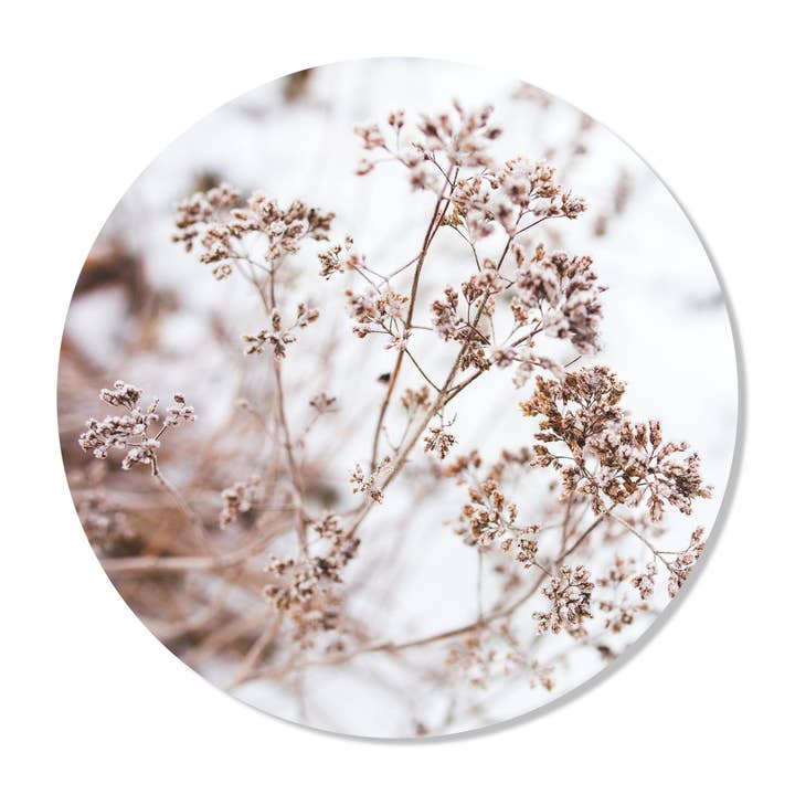 Círculo de Parede de Neve por atacado de GM decoratie